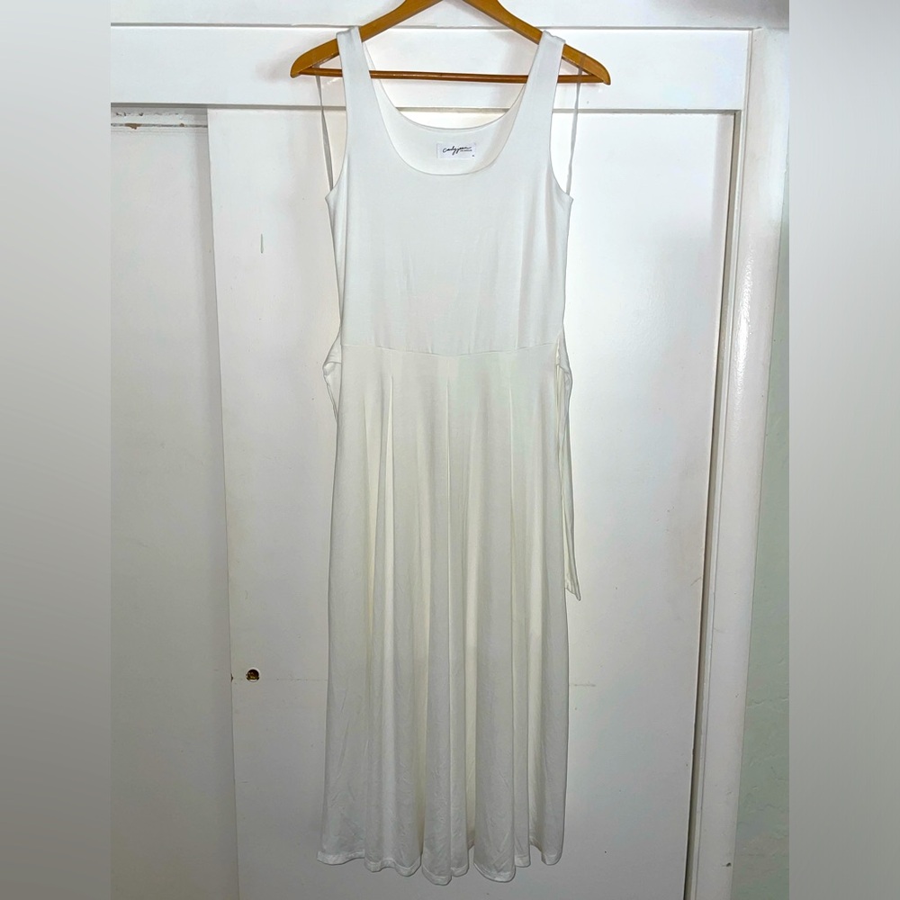 Carly Jean Los Angeles Dylann Dress. White, size medium.